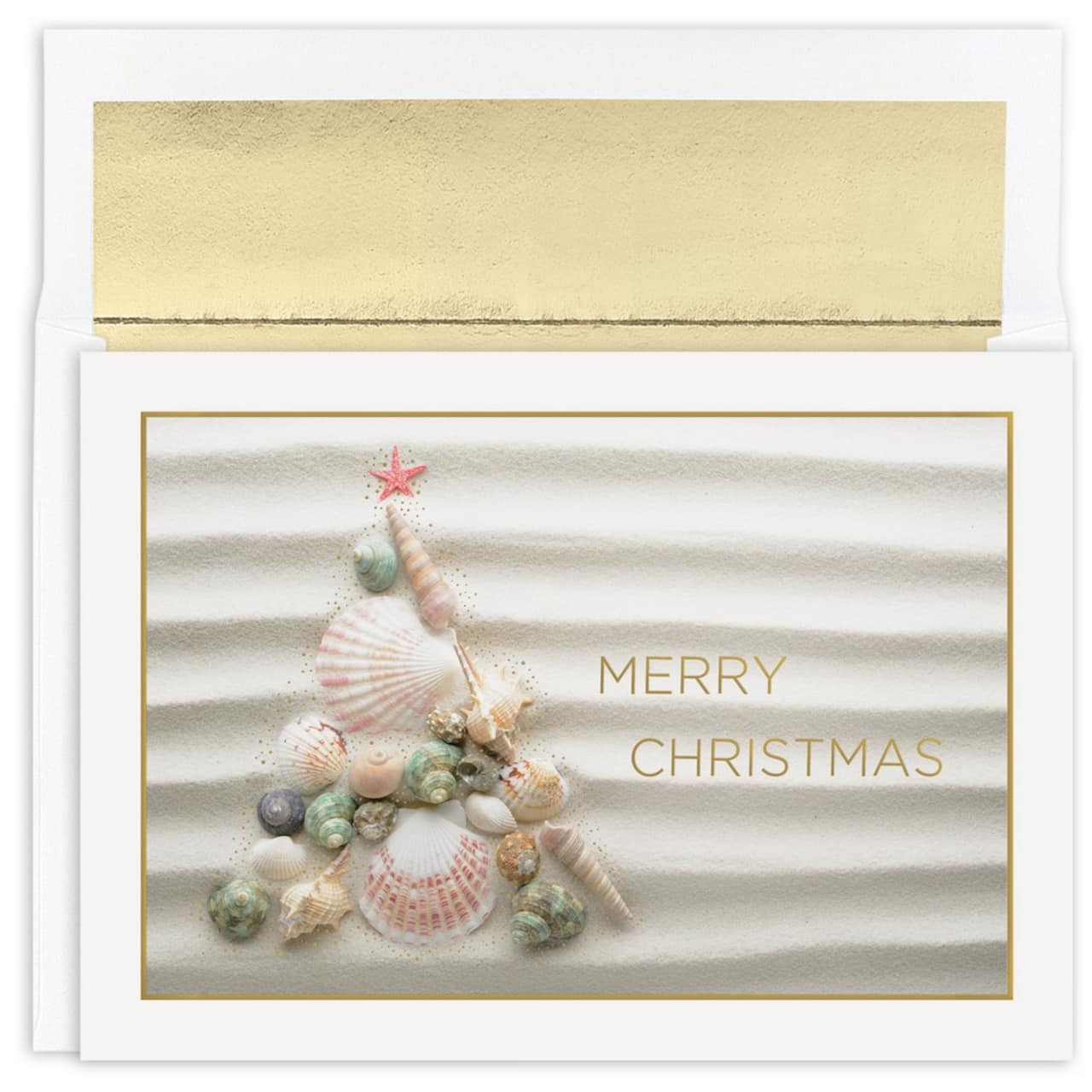 JAM Paper Shell Christmas Cards & Envelopes Set